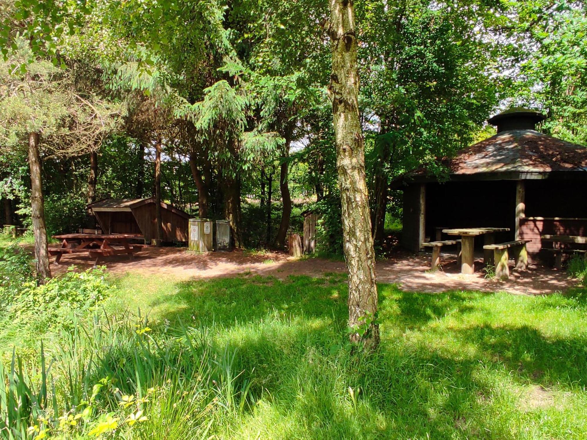 Emily'S Garden Bed & Breakfast Lintrup Ngoại thất bức ảnh